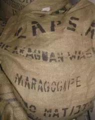 Nicaragua Maragogype zrno 1kg