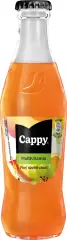 Cappy Multivitamín 250ml vratné sklo /24ks