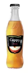 Cappy Jablko 100% 250ml, vratná láhev /24ks