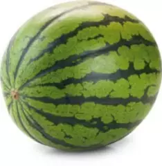 Meloun vodní bezsemenný cca 4 kg