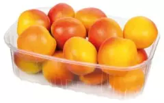 Meruňky 500 g vanička
